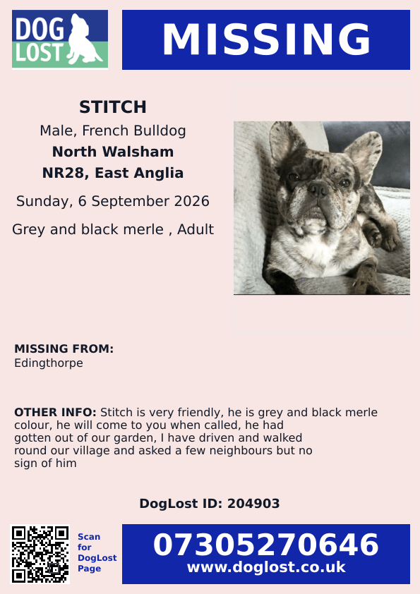millypod1's tweet photo. π6 SEPT 2026 #Lost Stitch #ScanMe
French Bulldog Male
#Edingthorpe #NR28 #NorthWalsham #Norfolk
https://t.co/F3M4e6FxTD https://t.co/aSdNSgceYx