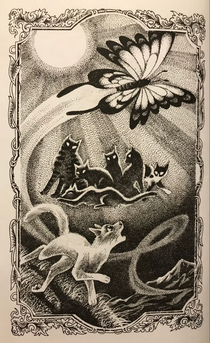 spottedscourge's tweet photo. i think this art of moth flight's vision is so insanely cool https://t.co/gMBoRdLAT4