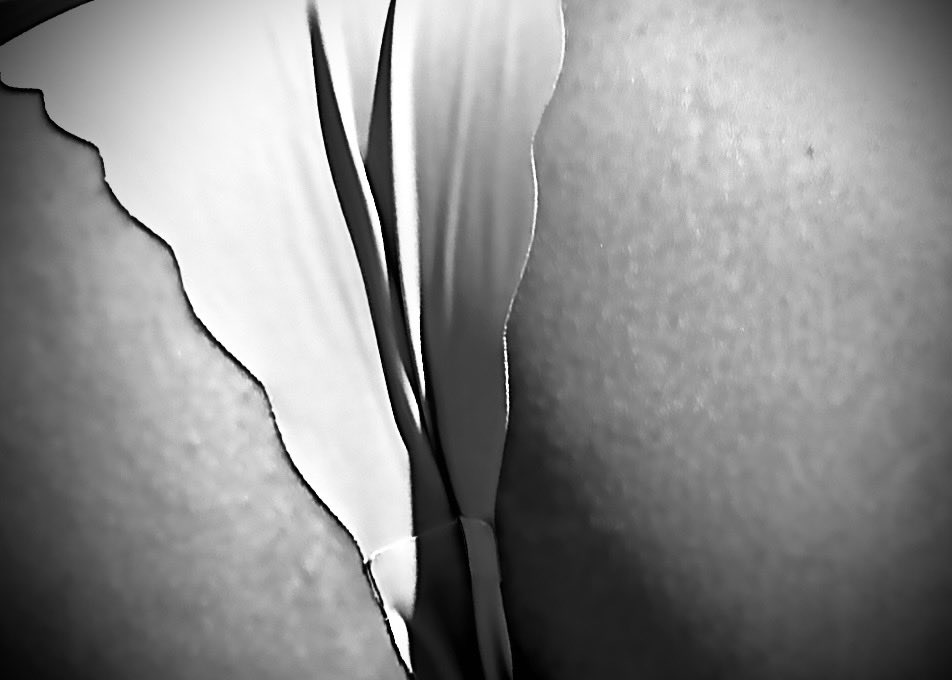 PinaySeduction tweet picture