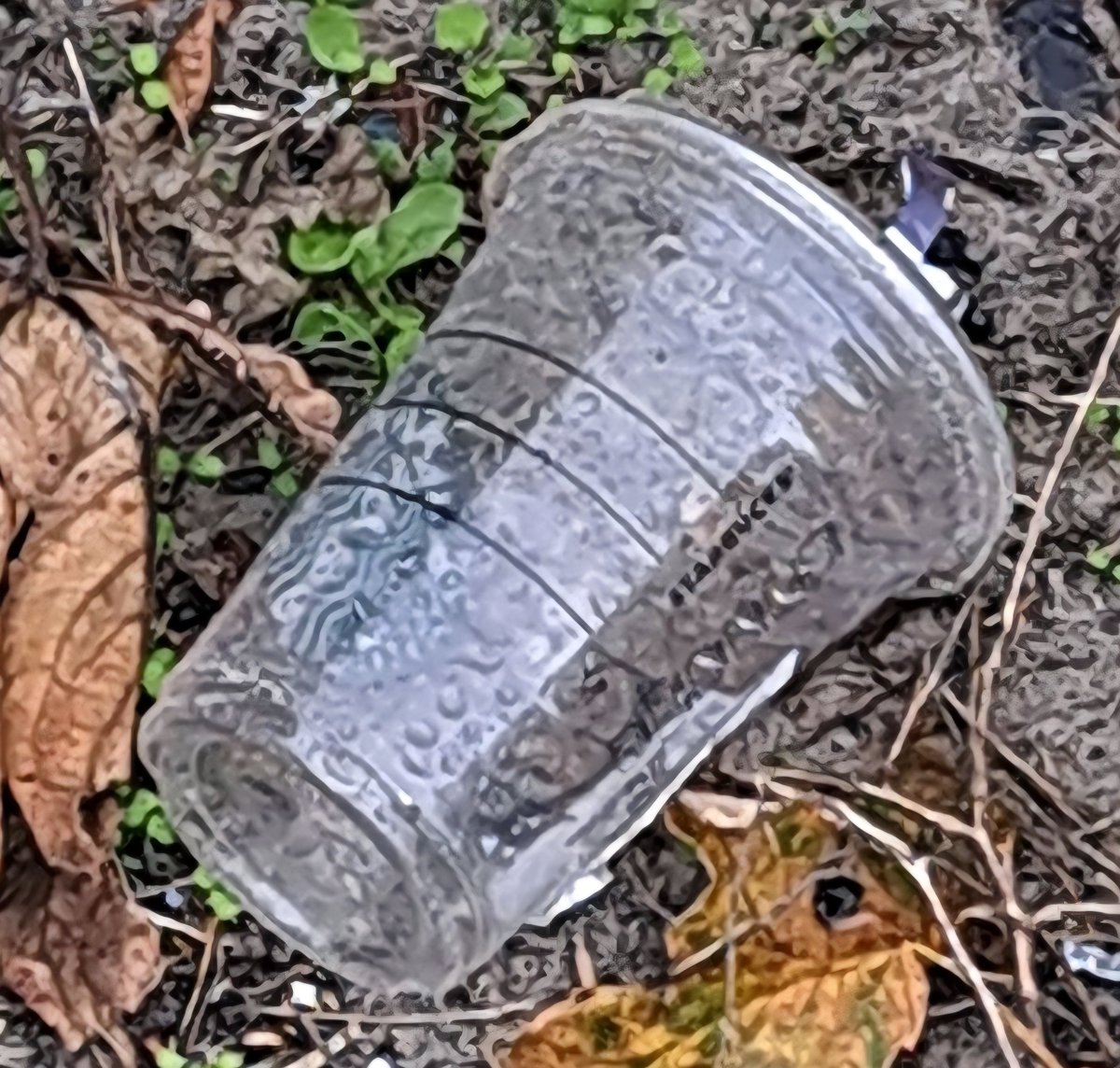 KarenDouglas_NI's tweet photo. Joined fellow Beach Cleaners this morning for a #beachclean I lifted 98 pieces inc: butts, plastic cup, glass bottle, wooden stirrers, wrappers, a tampon & wrapper, wet wipes, fastfood wrapping & dogpoop bags #LeaveNoTrace #LoveWhereYouLive #ProtectNature 🚮♻️🏖🌊🦀🪼🐠🐚🦈🪸🐳 https://t.co/7yFJ4gutDP