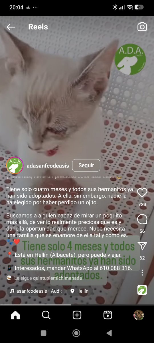 john_doe1237's tweet photo. URGENTE AYUDA 👇👇🆘🆘🙏🙏👇 https://t.co/80hzrJuCcP