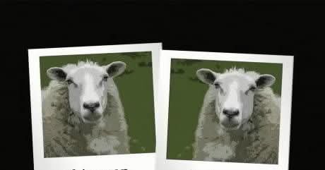 c_mcmanus96's tweet photo. That #traitorsIRL challenge had me like https://t.co/7wyIXNTHg4