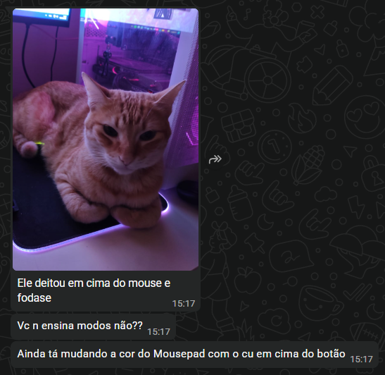 vivzs_'s tweet photo. gente https://t.co/MlV0jqIyDX