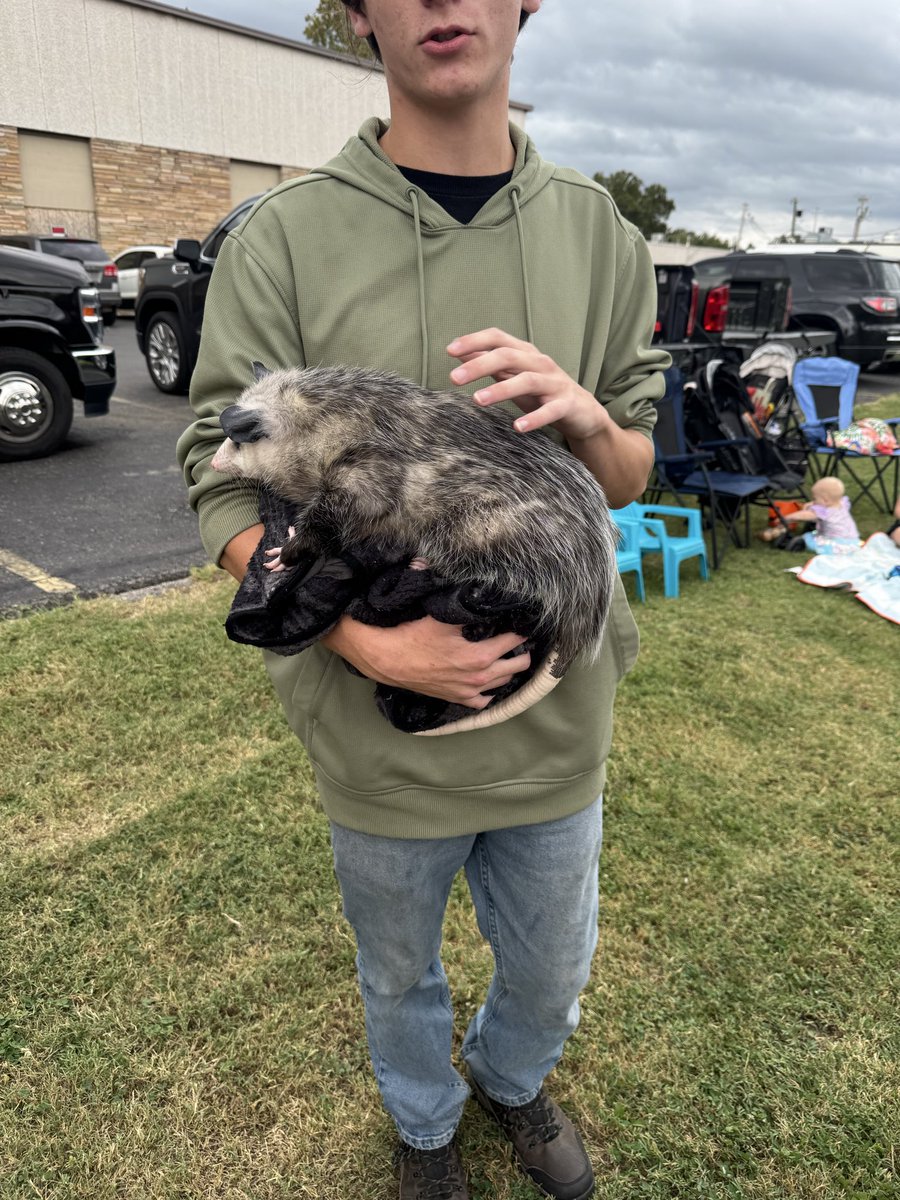 scottbrown1985's tweet photo. @BunkiePerkins Some kid had one at brookside Halloween parade last year. Said his name was shadow and his dog killed the mom possum https://t.co/TKP7isvnCS