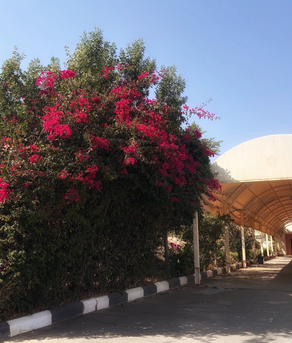 nee_v23's tweet photo. عودًا حميدًا وسنة جديدة 🤍
يا رب تكون بداية لأيام أجمل، وإنجازات أكبر، وذكريات ما تنسى.💞 https://t.co/PugjWg1AYa