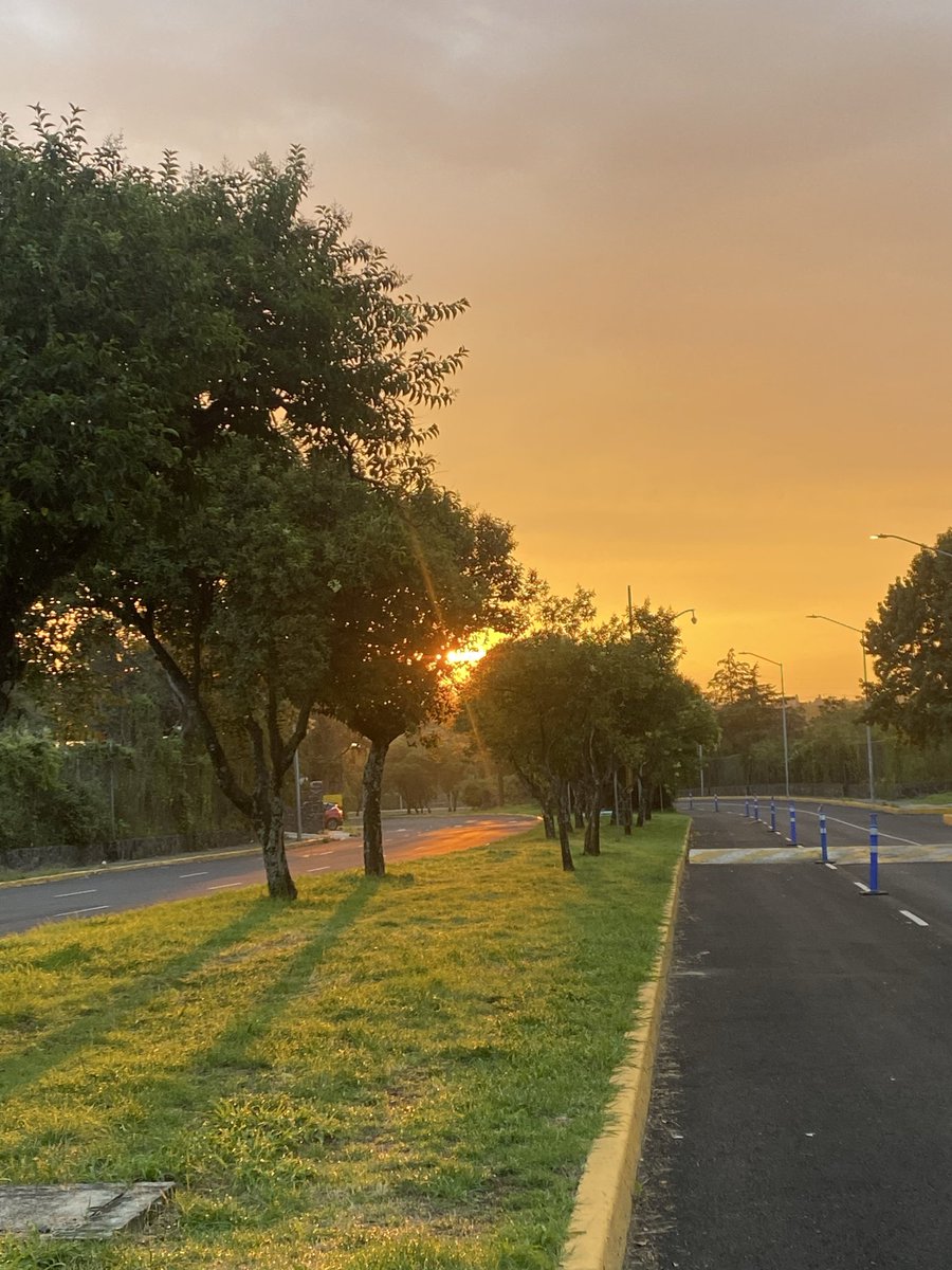 magdavelaz's tweet photo. La belleza simple de un amanecer. #CU #CDMX #SeptiembreDorado https://t.co/JdCI2l59No