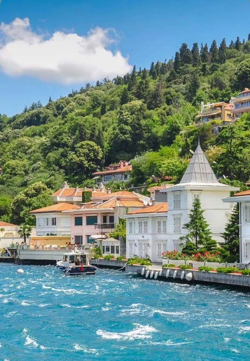 W0rld2026's tweet photo. Turkey 🇹🇷 https://t.co/Jwo2hreAUO