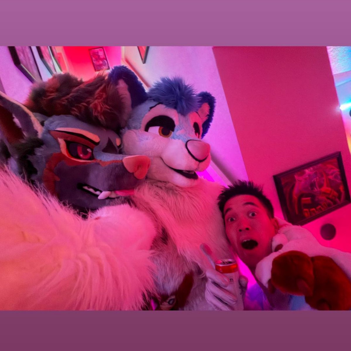 FlukeHusky's tweet photo. Fun weekend 💕 https://t.co/MlX6uBORbK