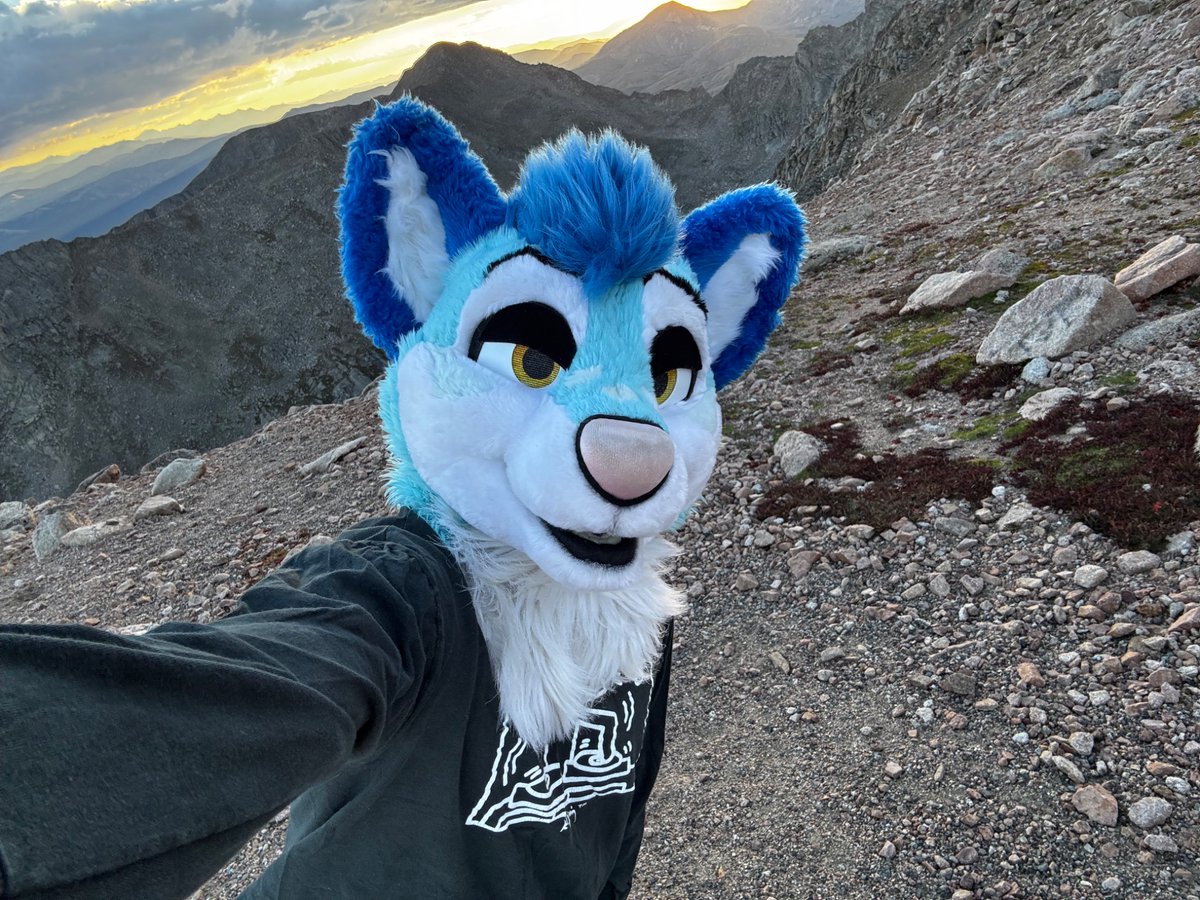 FlukeHusky's tweet photo. Fun weekend 💕 https://t.co/MlX6uBORbK