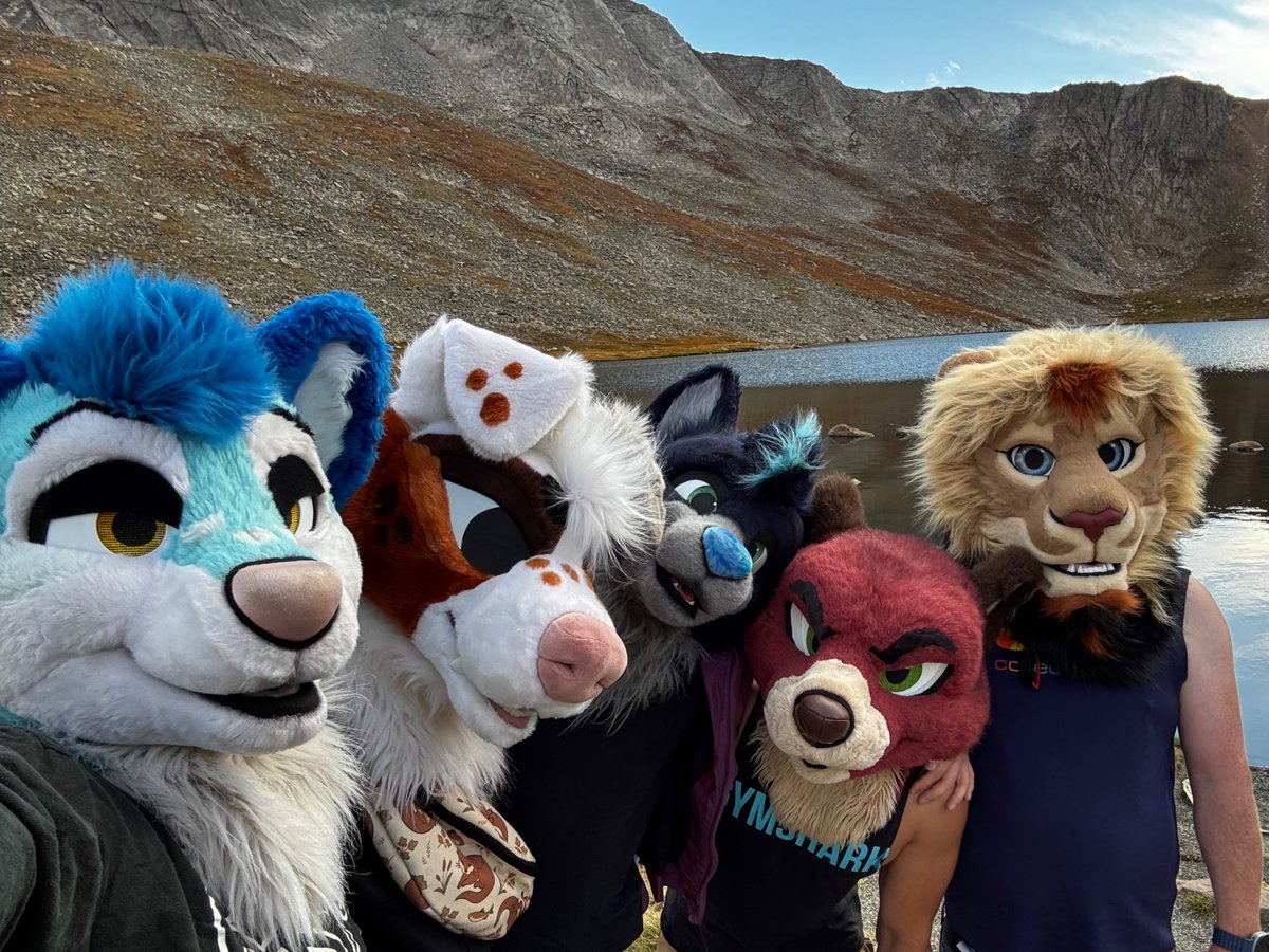 FlukeHusky's tweet photo. Fun weekend 💕 https://t.co/MlX6uBORbK