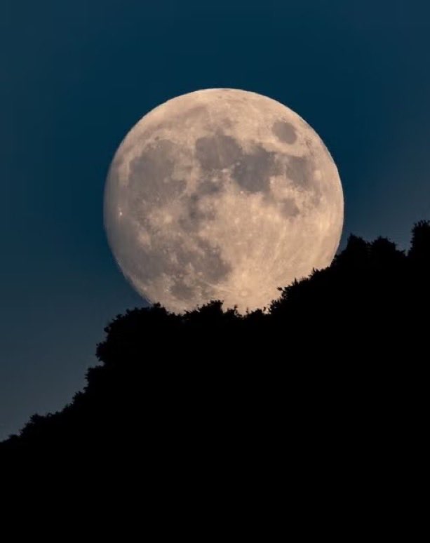 Indie5051's tweet photo. El presidente Trump ha declarado la Luna como un territorio de Estados Unidos. https://t.co/v9M21Txnwp