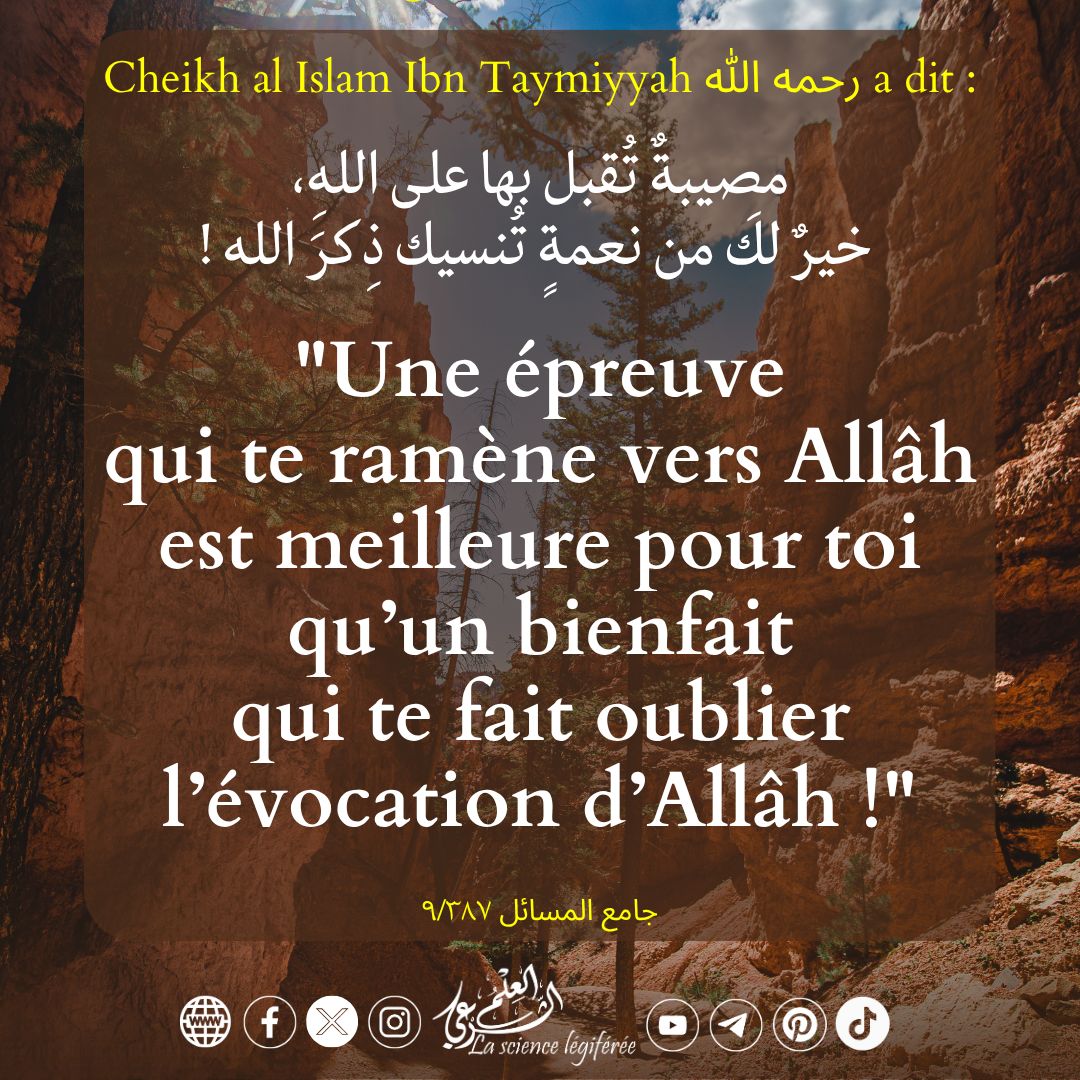 3ilmchar3i's tweet photo. 🍃 L'épreuve https://t.co/vWysMYht77