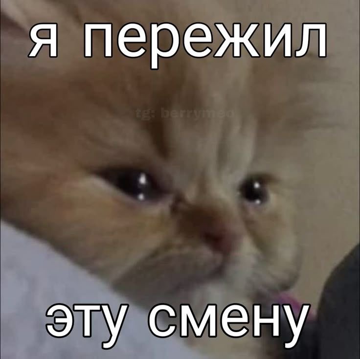 15lilac151's tweet photo. с божьей помощью и слезами https://t.co/SXDpSE6xuw
