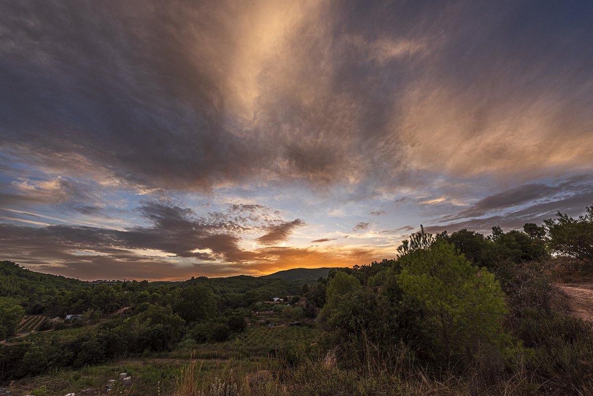 santquintimeteo's tweet photo. #Postadesol avui amb núvols mitjans, màxima més alta de setembre des de que tinc registres al 2010, 36.4º @Vakapiupiuu @3CatInfoelTemps @meteorac1 @alcantara_alb @btveltemps @SoniaPapell @SergiLoras @Meteomaxima @tempsdemeteo @MeteoPenedesTV @IsaacVila9 https://t.co/CGbg9fxUIh