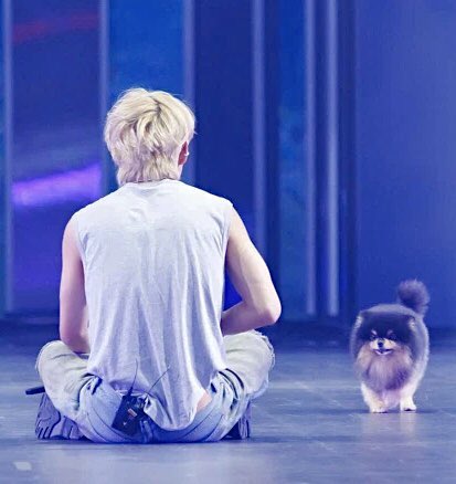 ayatone2's tweet photo. ヨンタンは永遠の憧れ🐶
テテにたくさん愛されてるんだもん😌🫶🏻😆
テテの夢にヨンタンがでてきて、テテが癒されて安心して寝れますように🫰
#ForeverLovedYeontan
#YeontanDay
#BTSV #キムテヒョン https://t.co/GzuAL7UweQ