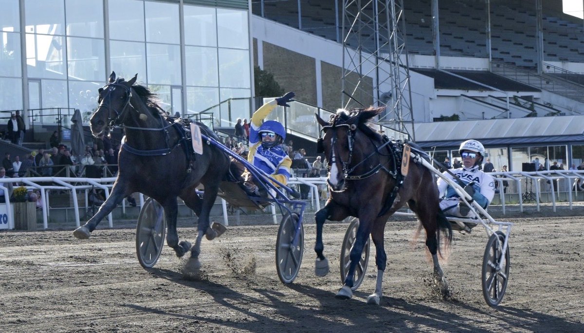 travlindax's tweet photo. MELLBY NARROW VINNER SVENSKT TRAVDERBY 2026! 🏆🔥

Så otroligt glad för hela Stall Daniel Wäjersten, skötaren Lisa Gilljam och Mellby Gård AB. ❤️

Det kommer bli tomt på Bergsåker när ni flyttar – men vilken SHOW ni har bjudit oss på!

TACK FÖR SHOWEN! 🙏🏆 Så. Jäkla. Värda. ❤️ https://t.co/WXGhj56Ugy