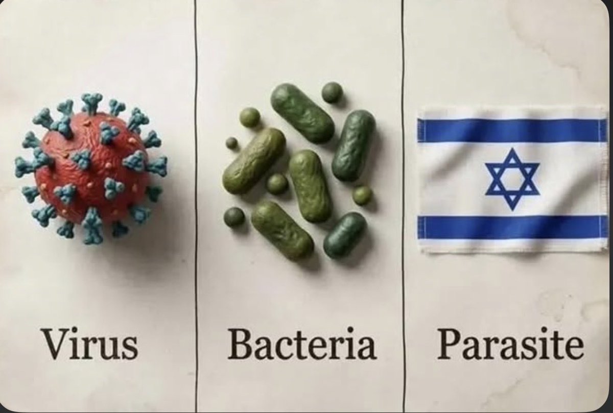 armour_of_truth's tweet photo. Israel runs our government. 

Wake up.

They control every aspect of your life. https://t.co/1OPDuk0afp