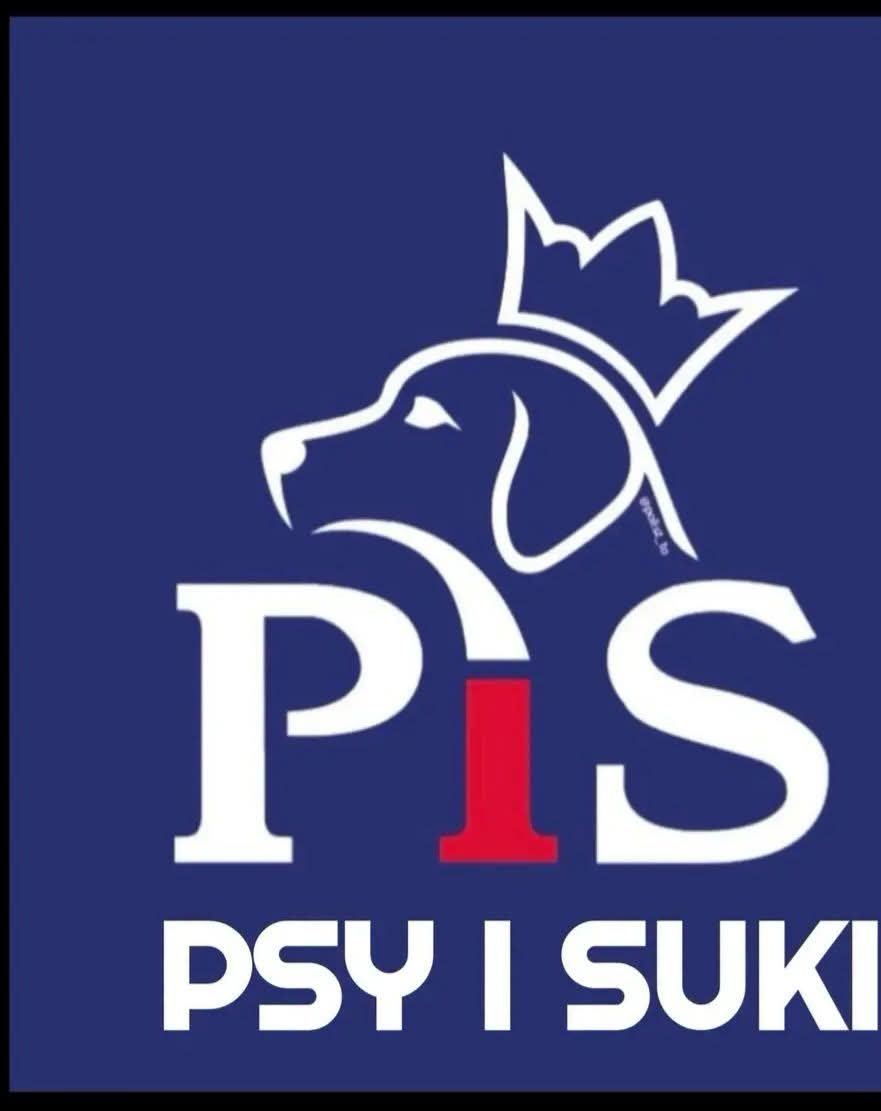 Arkadiuszkap's tweet photo. https://t.co/pKfGfJ0lQs