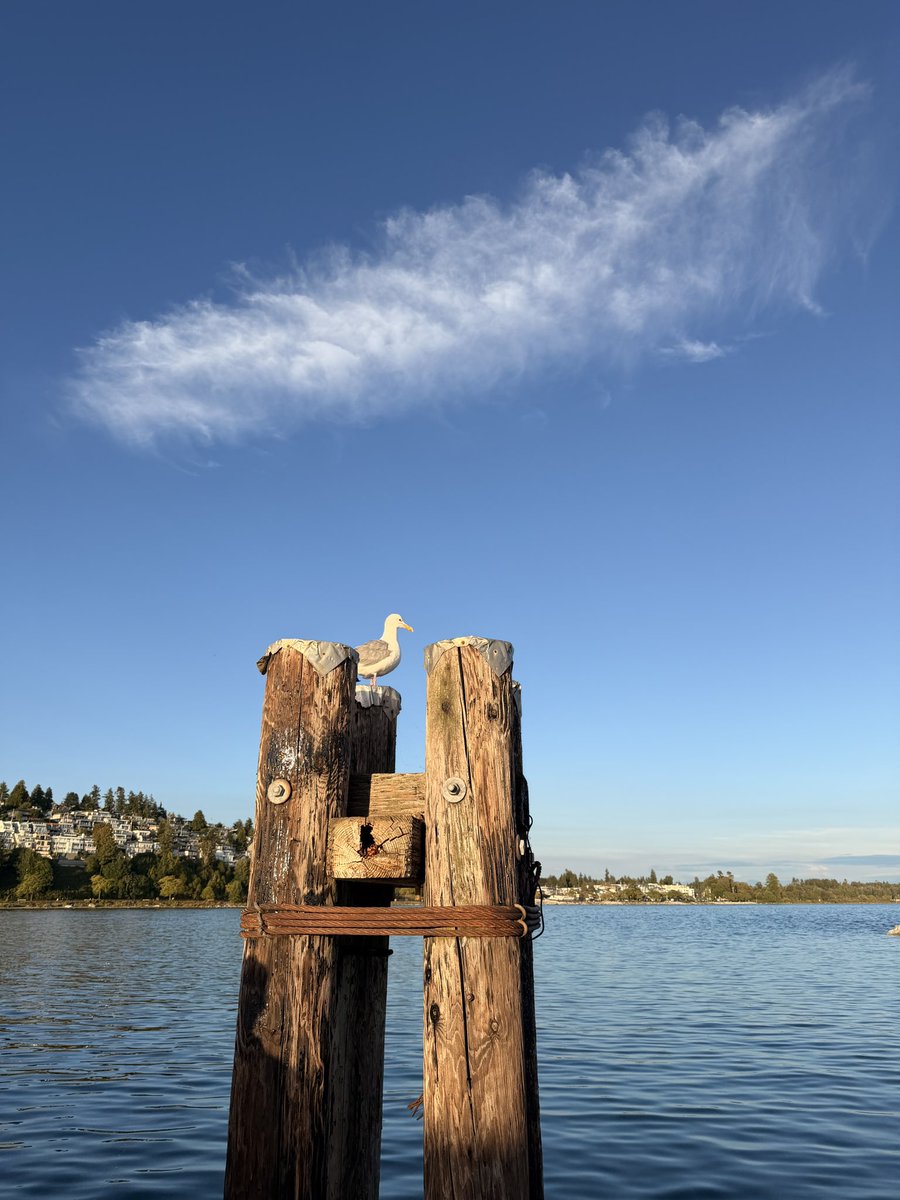 catlythecat's tweet photo. White Rock, BC
Canada’s longest pier https://t.co/ZppHkFM47b