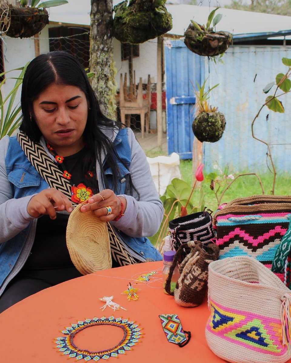 DefensoriaCol's tweet photo. ¿Dónde se encuentra la esperanza en Colombia? ¿Qué es aquello que nos hace sentir esperanza? 🫂🫀

En la Defensoría del Pueblo creemos que la esperanza habita en cada territorio y en las personas que todos los días trabajan por sus comunidades.

🧵👇🏽 https://t.co/FAlJ2s3g1i