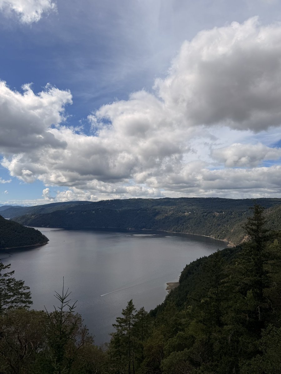 catlythecat's tweet photo. Malahat, Victoria BC https://t.co/m2uAZjzywR