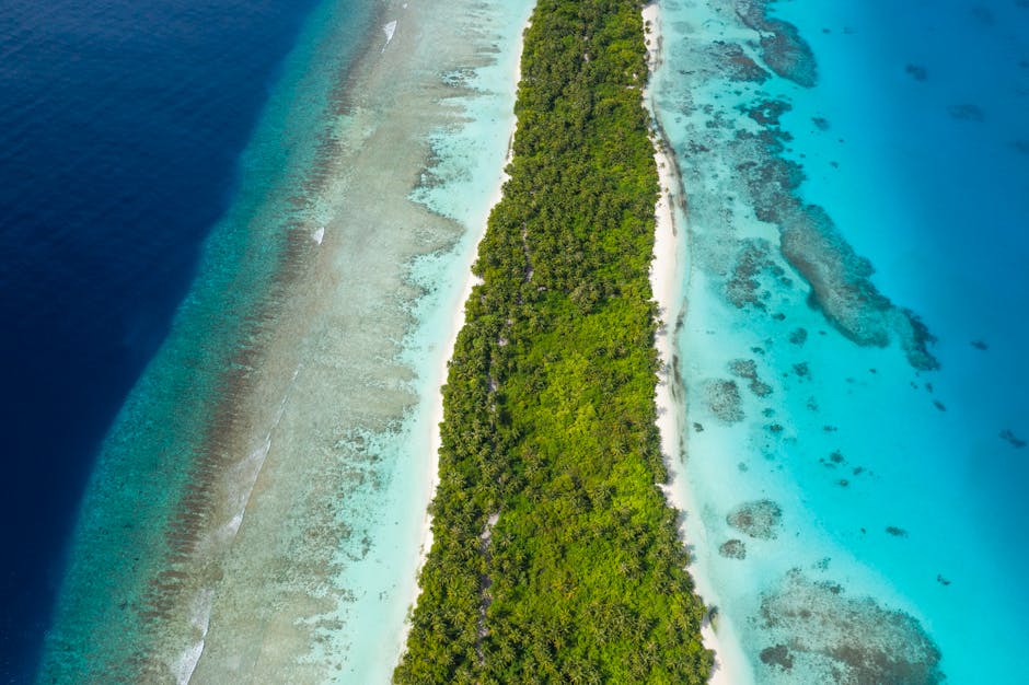 marco_4puhj's tweet photo. True starts need mind drifts into stillness. relaxation here You don’t johnie lanquist🔦 https://t.co/eo2SvlXfZ5