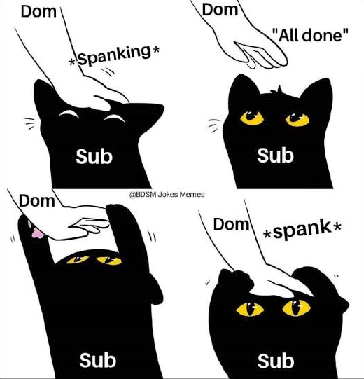 DamageMeDarling's tweet photo. https://t.co/qCsJ4fxPtn