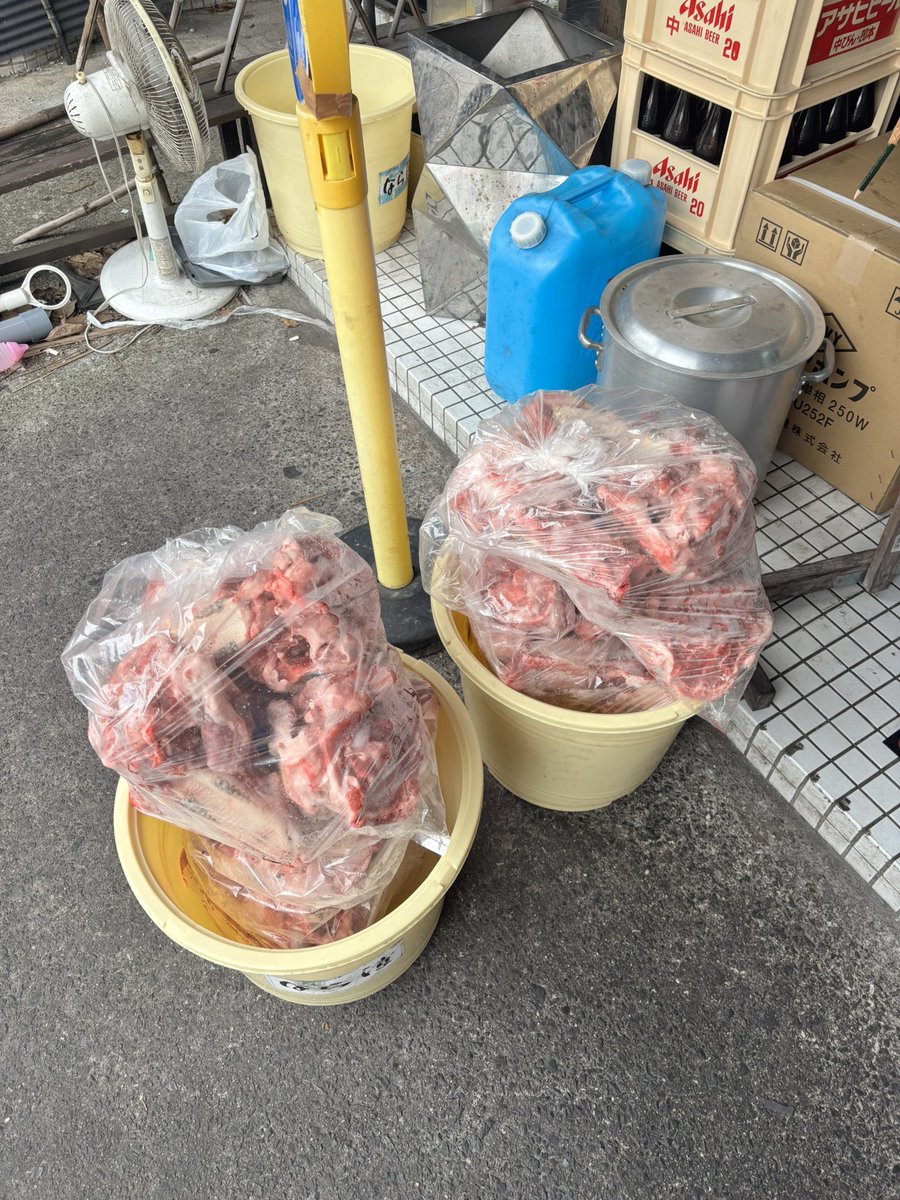 guguga333's tweet photo. 生きれ　もまいは美しい https://t.co/K0ESOMpEZn