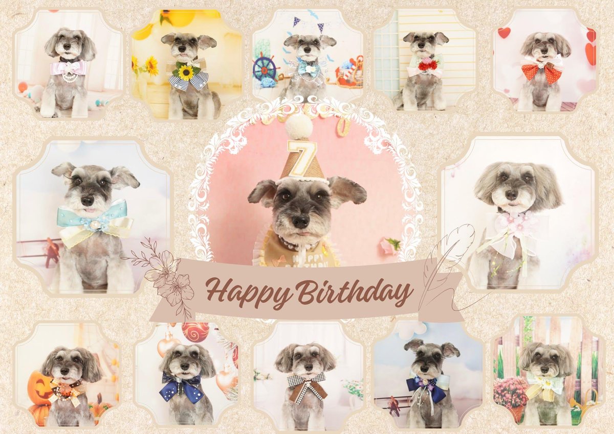 2946Love's tweet photo. ココ7歳🎂🐕 ͗ ͗
フォト📸作ってもらいました
🤗 https://t.co/4LMHKCVtzN