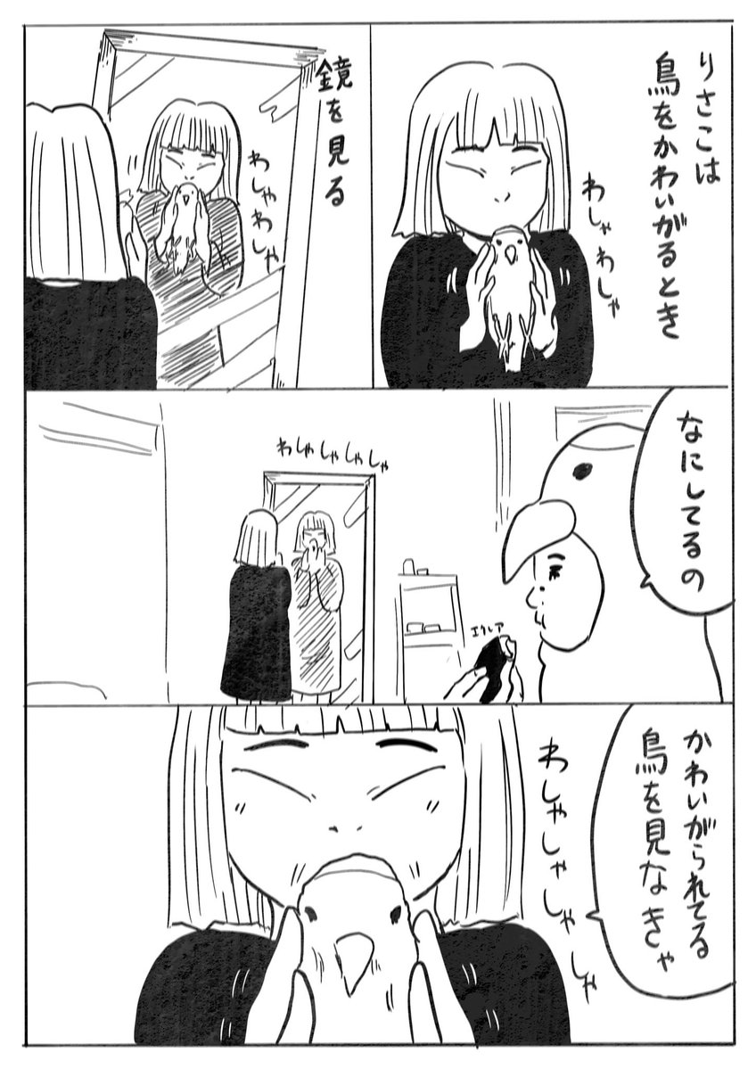 tsunoda_fumm's tweet photo. 鳥好き界隈🦆🐧 https://t.co/s5kNwUyBAR