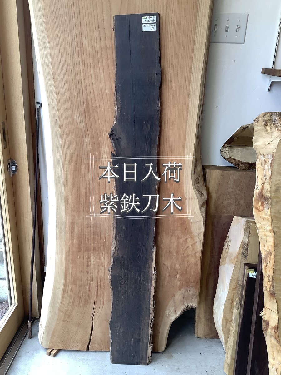 storage_base's tweet photo. 本日入荷の紫鉄刀木です☺️
ワイルドな耳付きはカッコいい佇まいです✨
是非一度覗きにいらして下さい☺️ https://t.co/MdXEHZIsSM