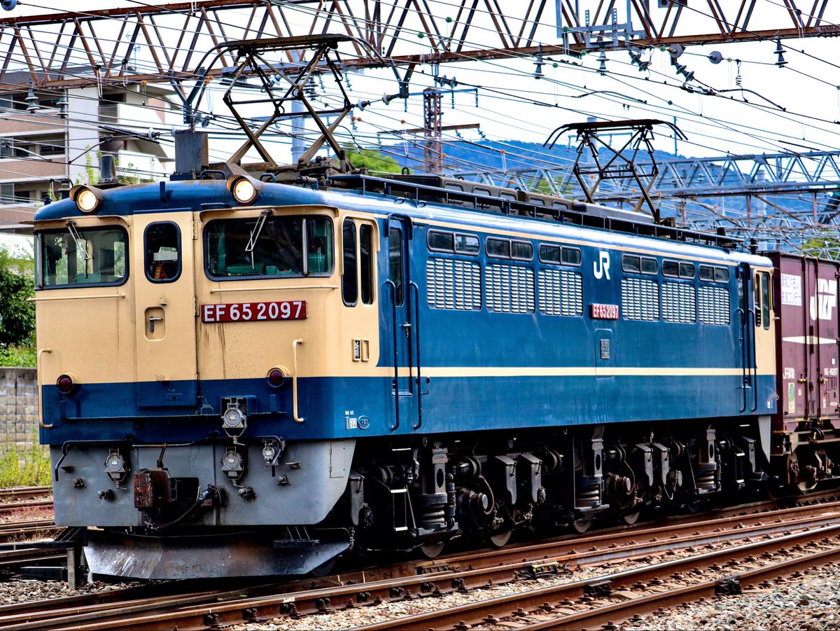 522_kiyo's tweet photo. おはようございます😊☂️
9月7日と言う事でEF65-2097号機🤭
#EF652097 #EF65pf #新鶴見機関区 #電気機関車 #国鉄車両 #おはようトレイン https://t.co/L3HVcHtj47