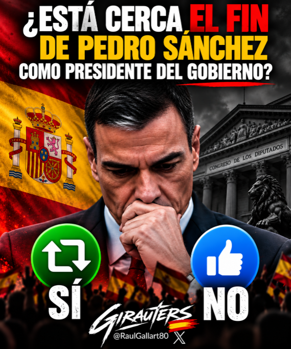 RaulGallart80's tweet photo. 📊 ENCUESTA | ¿Está cerca el fin de Pedro Sánchez como Presidente del Gobierno de España? 

🔄 SÍ  
❤️ NO https://t.co/hypP8Wt7Gb