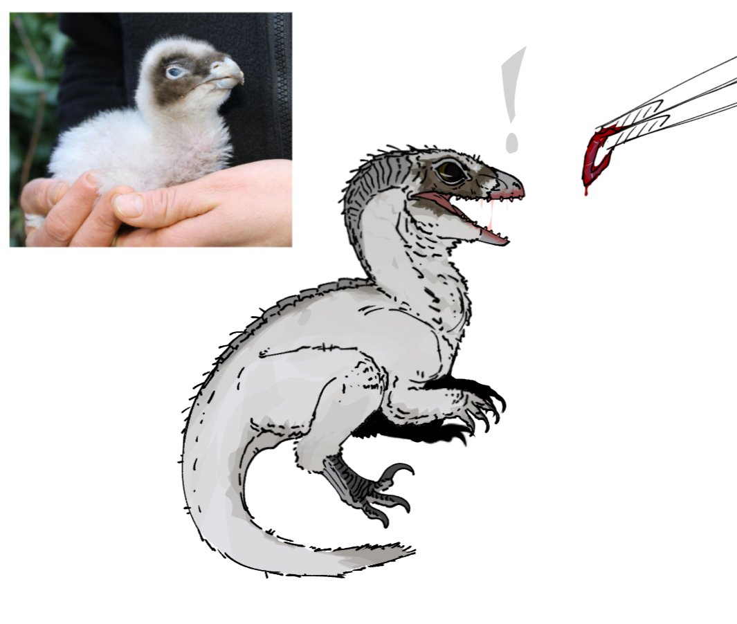 kaproc_01's tweet photo. Now that how indoraptor as vulture bearded baby look like! https://t.co/4iXRd5B93e