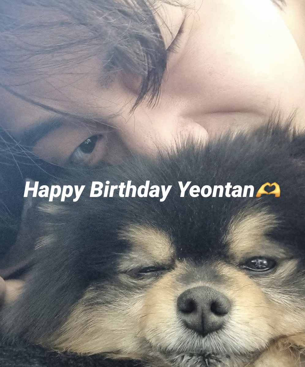 VtaetaeMa's tweet photo. @BTSV_JPN 今日はヨンタンのお誕生日です🐾
ヨンタンお誕生日おめでとう🎂
ずっーと大好きだよ💜
テテをこれからも見守っていてね
#ForeverLovedYeontan
#YeontanDay
#BTSV #キムテヒョン https://t.co/yc874gSFRU