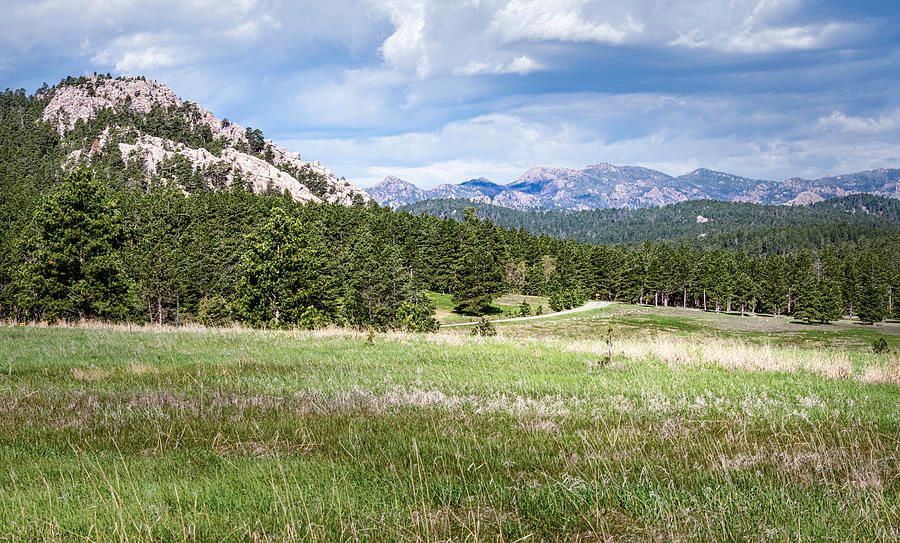 joancarroll's tweet photo. A Drive Through Custer State Park South Dakota! https://t.co/8L83iDdjZI #custer #statepark #park #landscapephotography #mountains #blackhills @joancarroll https://t.co/YRGd6tif9g