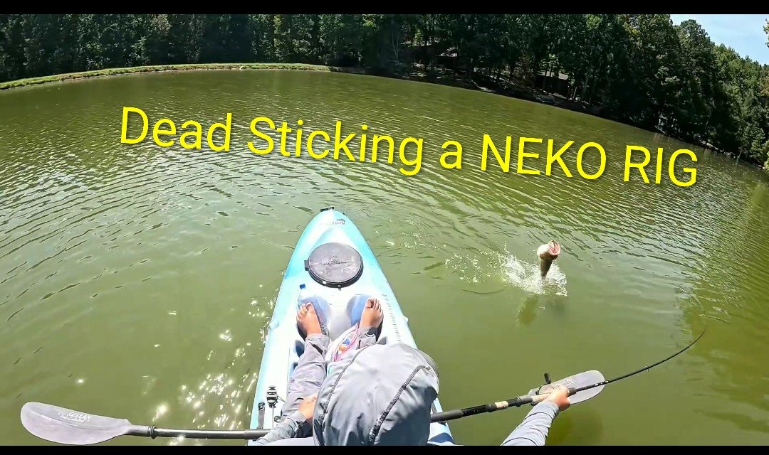 DustinEvan77557's tweet photo. https://t.co/wM1IRa7YdO Isolated cover and let that Worm do it's Thang🐛
For all your Filming and Accessorie Needs go to Yolotek and Enter Discount Code DUST10 for 10% off #kistlerrods #gopro #yolotek #fishing #bassfishing #kayakfishing https://t.co/BYHiBub71r