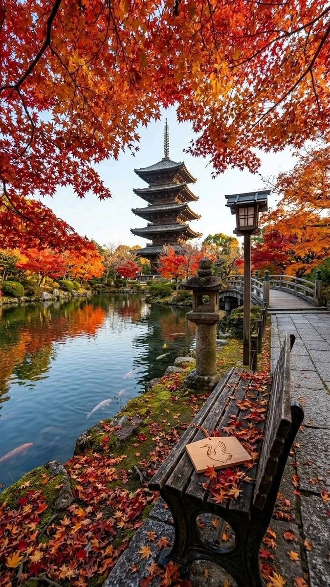naturehealyou's tweet photo. Autumn leaves in Kyoto, Japan https://t.co/VQbUlvQ7S5
