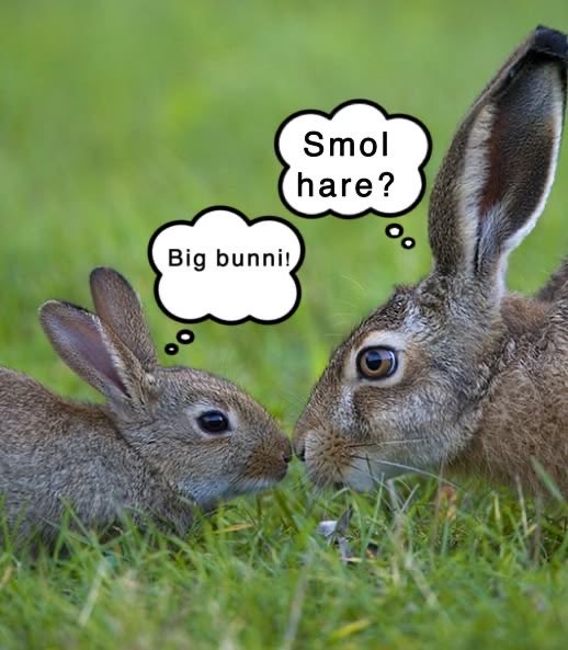 Bunnies's tweet photo. https://t.co/iLzzSlYAXB