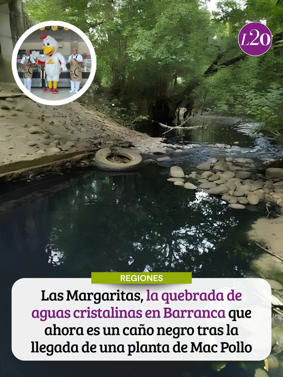 Las2Orillas's tweet photo. 💧 Las Margaritas, en Barrancabermeja, pasó de ser una quebrada de aguas cristalinas a un caño oscuro, con malos olores y sin vida acuática.

El cambio se hizo evidente tras la llegada de la planta de AVSA S.A., titular de Mac Pollo, que realiza vertimientos de aguas residuales.

💀 Una medición registró cero oxígeno y la Alcaldía ordenó sellar la planta mientras investiga.

La quebrada conecta con la Ciénaga San Silvestre, fuente de agua para más de 200 mil habitantes.

Lea la historia: https://t.co/ra5X3m63IJ
.
.
.
#Barrancabermeja #MacPollo #Las2orillas