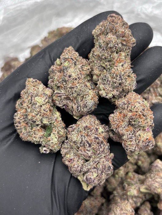 utad85123's tweet photo. Weed Utah weed Salt Lake City weed Brigham City weed Provo 

🔗👇
https://t.co/17e2Z1hgf4

weed West valley city weed Ogden weed Layton weed Sandy weed Spanish Fork weedplug ThC vapes carts disposable 
Lmk blow ❄❄ #weedplug #weednear #cannabisplug https://t.co/0MrTBpf57X
