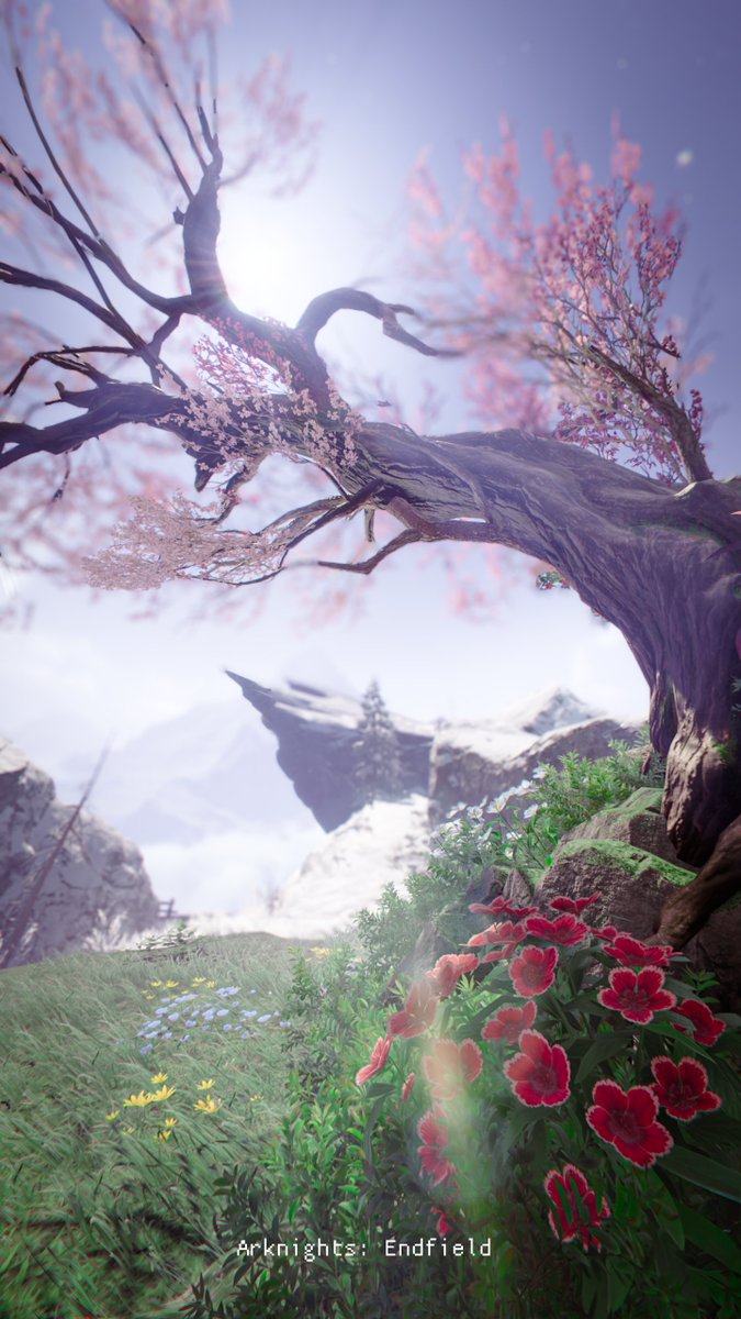 774n4Na4's tweet photo. #ArknightsEndfield‌
#エンドフィールド写真部

" Four seasons " https://t.co/phlKkdh4pB