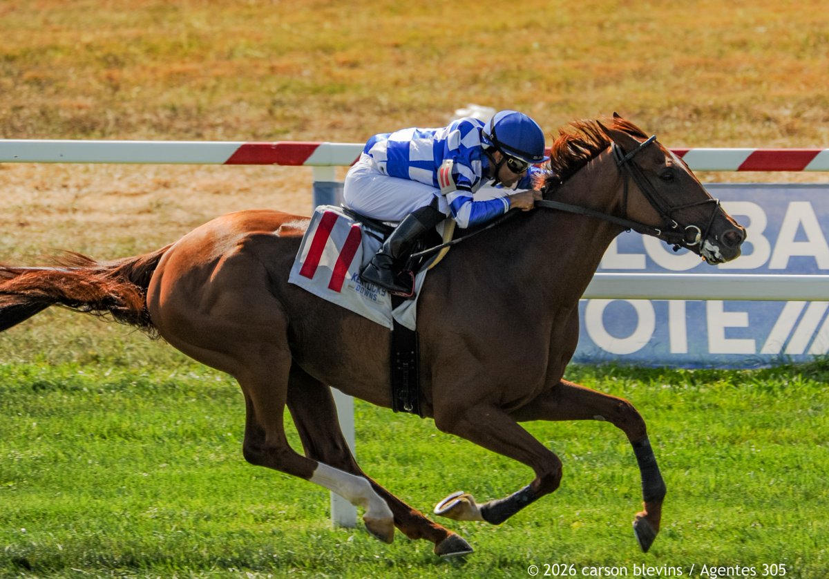 roguewolf007's tweet photo. Telescopic
[American Pharoah x Visage (IRE)]

and @luissaezpty were the clear winners in Race 6 for Trainer Vicky Oliver and @BBNRacingTeam

the 5 year old gelding gets his 1st win of the year and improves to 6 : 1 - 3 - 0 https://t.co/dp4d5zLzBW