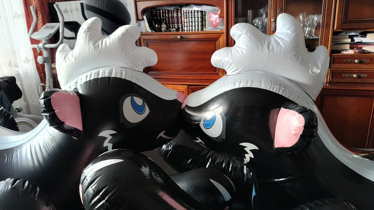 Grimatronic67's tweet photo. Today was the greatest day for Spanki as for first time he actualy got to Play with another skunk. I feel like they fell in love🖤. Just look at those two cuties🥹 #skunktember 🦨 https://t.co/UawuF5OW83