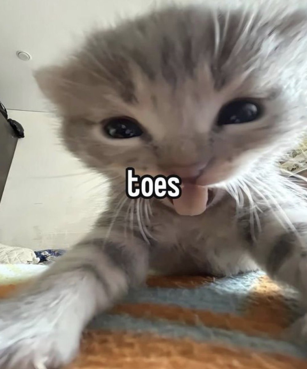 Toesandalamode's tweet photo. How I expect you to react : https://t.co/QvuzhubKlL
