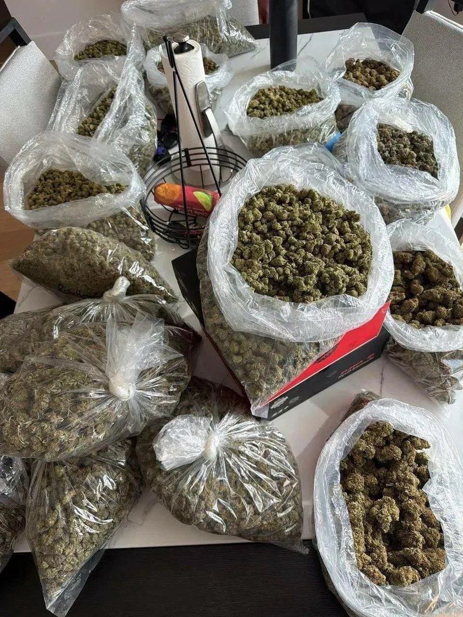 Cannabis_Farmz's tweet photo. WE ARE SENDING FREE LBS TO OUR FOLLOWERS AND FAMILY 

PICK A NUMBER 1-1000
FOLLOW ME 
REPOST https://t.co/VnBbTbWxwd