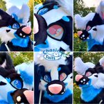 Photo by CTW! ✂️🪡 @ Comms Closed!!! (@ChasingTailsWS)