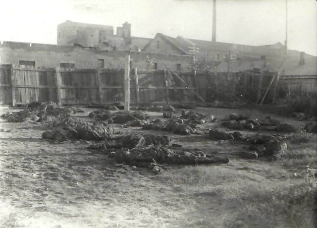 ShoahUkraine's tweet photo. Exhumation of 43 ethnic Russians, Jews and one Mongol man, killed by beheading on August 9, 1945, on orders from Lt. Col. Amano Isamu, head of the Tokumu Kikan branch in Hailar, Manchukuo. A Soviet military tribunal sentenced those involved to death by firing squad. https://t.co/pqqYPMOOfE