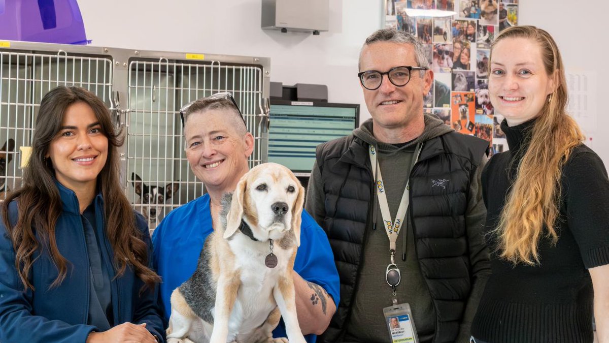 KantoInst's tweet photo. A UC Davis translational medicine program recently highlighted Snoopy, a dog whose participation in a clinical trial gave researchers a rare opportunity to see years of laboratory research applied directly to a patient.

Source: https://t.co/pWiHOHyFpM https://t.co/91oUepfan9