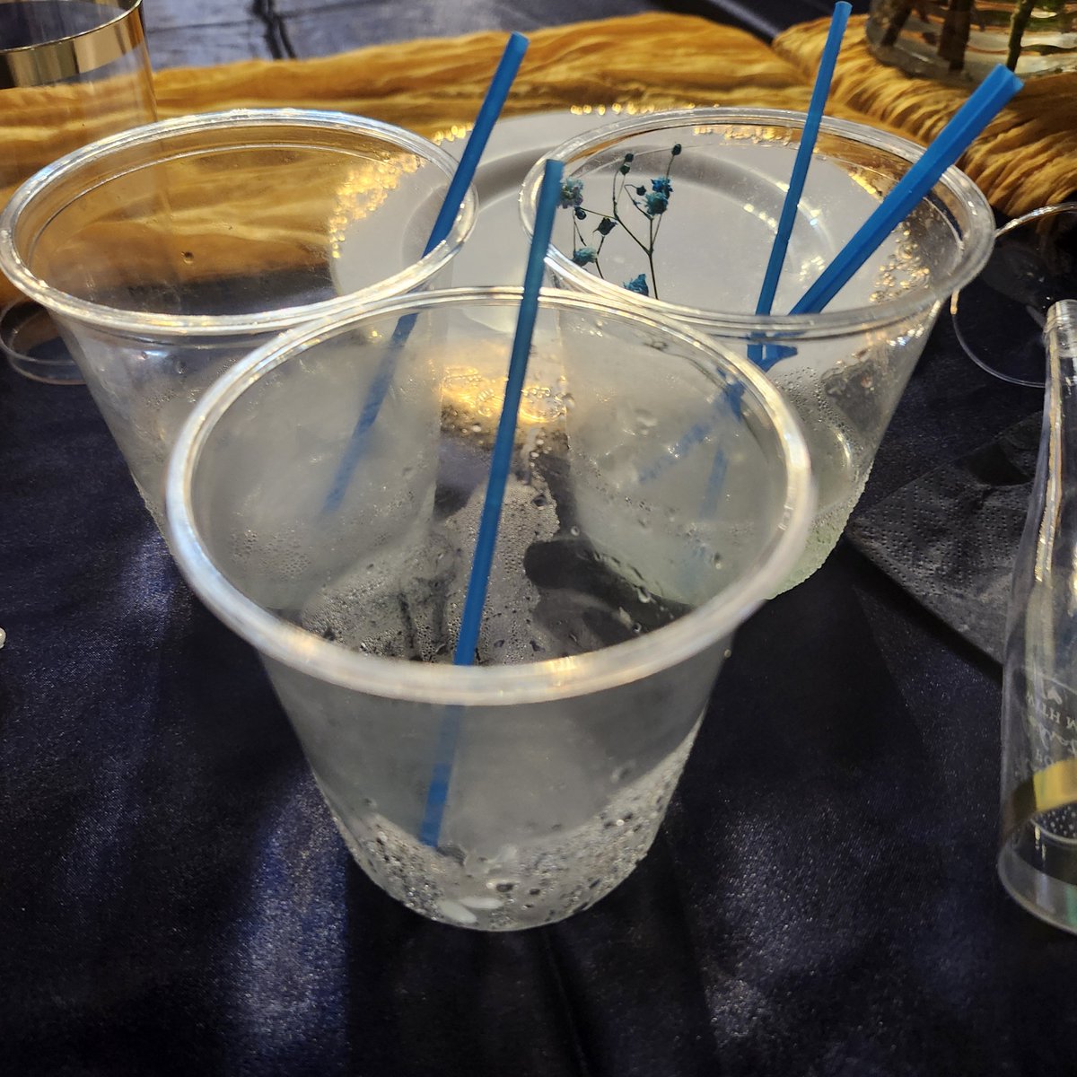 CinnamonKatArts's tweet photo. ♡I like piña coladas {Non alcoholic, I'm only 18 💔}♡

{I would've killed for some coke and rum though..}

#party #drinks #pinacolada https://t.co/IN6fHvVLoc